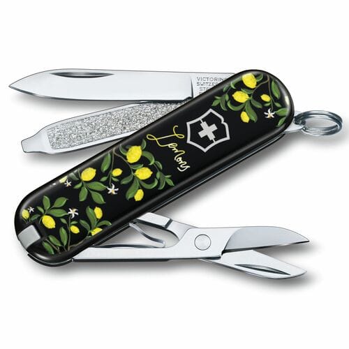 Швейцарски джобен нож Victorinox Classic LE 2019   0.6223.L1905